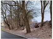 Ansicht auf Grundstück (5) - 