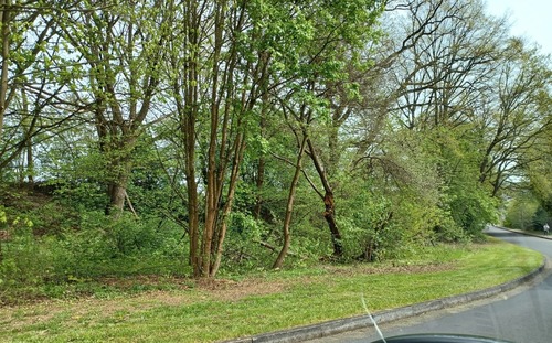 Ansicht auf Grundstück (3) - Grundstück in Uslar zum Kaufen