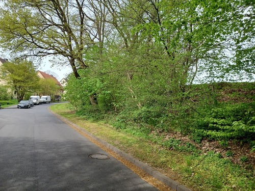 Ansicht auf Grundstück (2) - Grundstück in Uslar