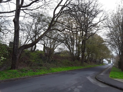 Ansicht auf Grundstück (1) - Grundstück zum Kaufen in Uslar