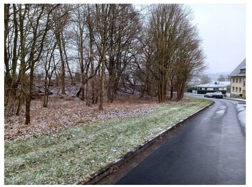 Ansicht auf Grundstück (7) - 