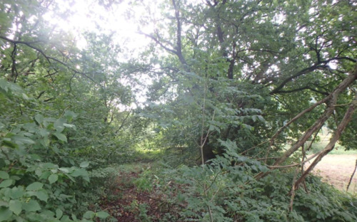 Grundstücksbild (3) - Grundstück in Bodenfelde