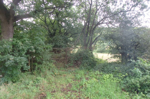 Grundstücksbild (1) - ungepflegte und ggf. belastete Holzungsfläche östlich von Bodenfelde