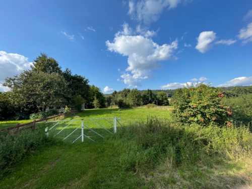 Bild1 Aezren - Im Gebotsverfahren: Schönes Gartengrundstück in Aerzen