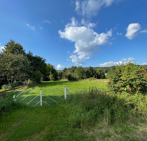 Im Gebotsverfahren: Schönes Gartengrundstück in Aerzen
