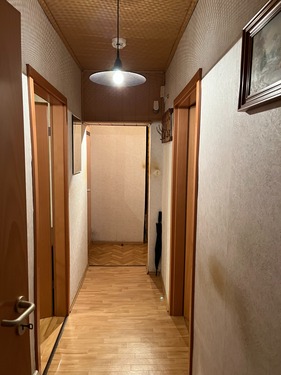 Flur - 4 Zimmer Erdgeschoßwohnung zum Kaufen in Salzgitter