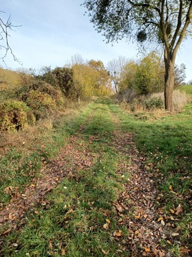 Südlicher Weg - Grundstück in Göttingen