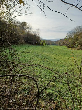 Grundstück - 3.248 m2 Grünland in Göttingen OT Nikolausberg