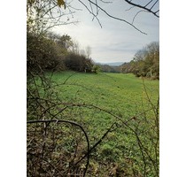 3.248 m2 Grünland in Göttingen OT Nikolausberg