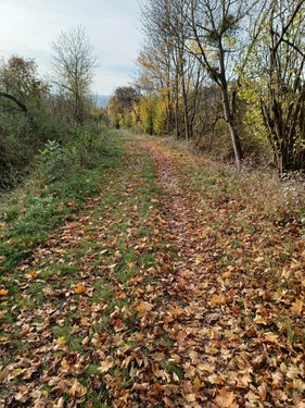 Weiterer Verlauf des südlichen Weges - Grundstück in Göttingen zum Kaufen