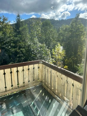 Ausblick vom Balkon - 