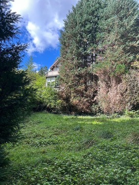 Garten - Einfamilienhaus mit 112,00 m&sup2; in Langelsheim-Wolfshagen zum Kaufen