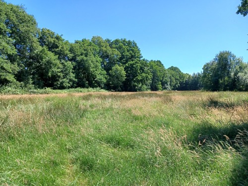 Flurstück 14-9 südliche Richtung - 