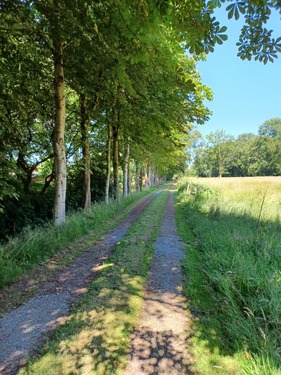 Wegefläche Flst. 28-8 und 29-2 - Bieterverfahren: Resthof mit rd. 2 ha Grünland