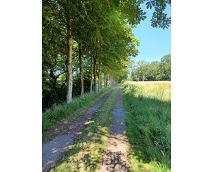 Bieterverfahren: Resthof mit rd. 2 ha Grünland - Westoverledingen