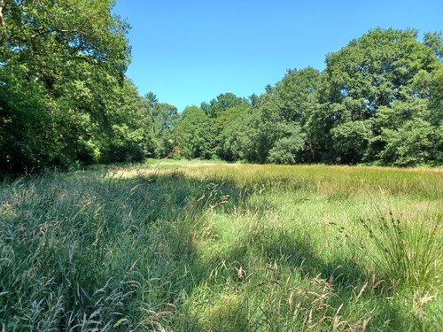 Flurstück 14-9 nördliche Richtung - 