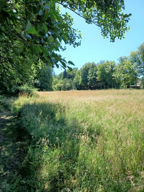 Flurstück 29-2 Richtung Resthof - 