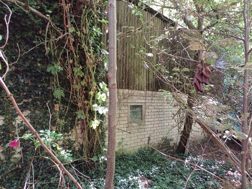 Außenansicht Stall - 