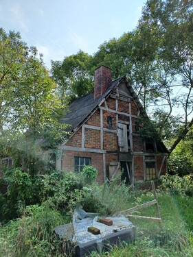 Bild4 - 