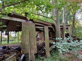 Bild10 - 