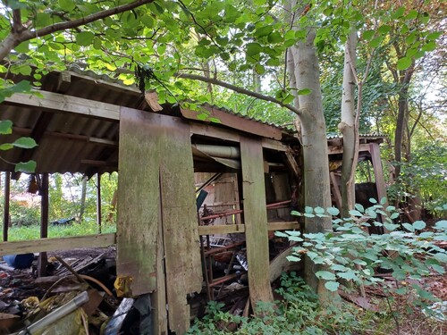 Bild10 - 