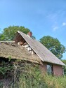 Bild1 - 1 Zimmer Resthof in Neu Wulmstorf