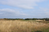 Blick zur Ostsee - 