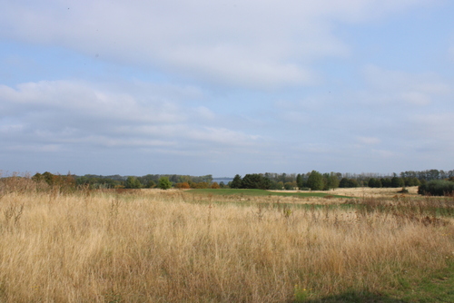 Blick zur Ostsee - 