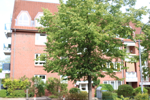 Objekt, Straßenansicht - 4 Zimmer Etagenwohnung zum Kaufen in Bad Schwartau