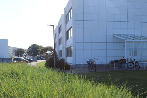 Objekansicht - 2 Zimmer 2- Zimmerwohnung in Fehmarn