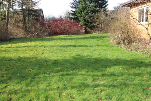 Rasen - 