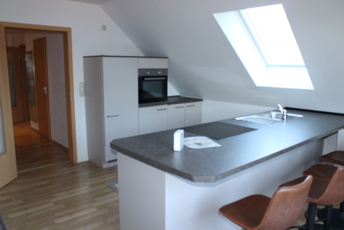 offene Küche, ELW - 8 Zimmer Einfamilienhaus in Malente