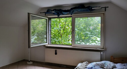 Zimmer DG - 