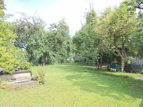 Garten Bild 2 - 