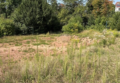 Baufeld - Baugrundstück zum Kaufen in Zweibrücken