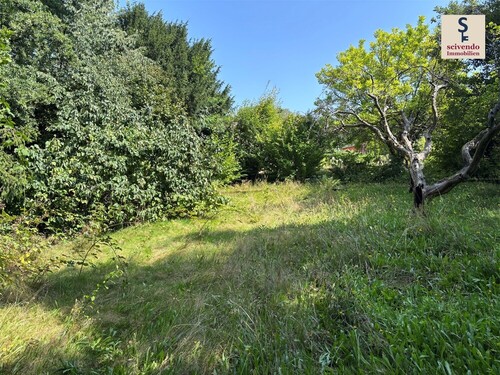 Gartengrundstück - Baugrundstück in Zweibrücken