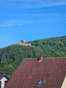 Ausblick zur Burg Landeck - 