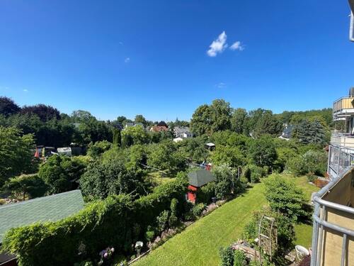 Ausblick ins Grüne - 