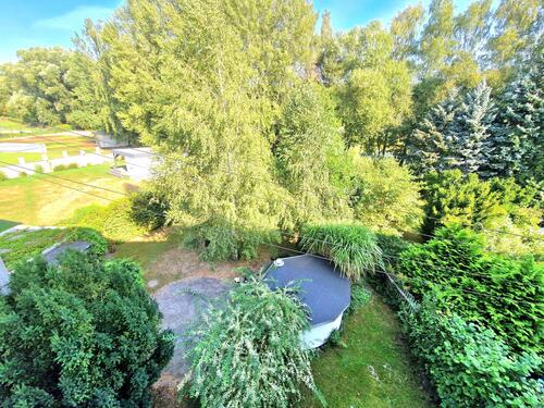 Blick in den Garten - 