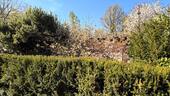 Gartenblick Richtung Einfamilienhaus - 