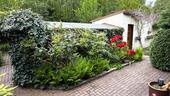 Garten mit Gartenhaus - 