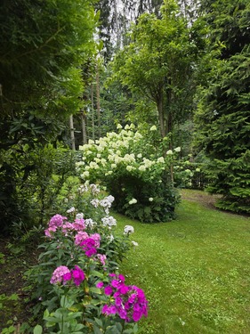 Garten - 