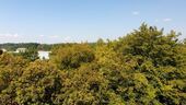 Ausblick vom 1. Kinder-/Arbeitszimmer - 