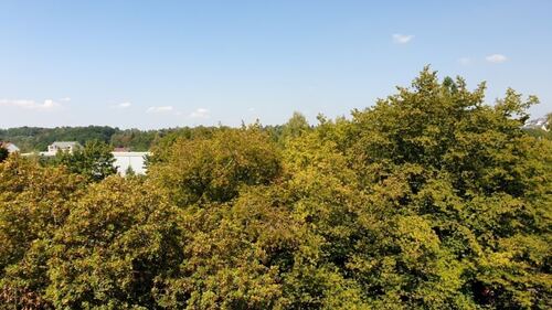Ausblick vom 1. Kinder-/Arbeitszimmer - 