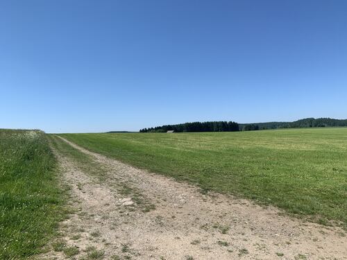 Grundstück - Blick Richtung Süden - Gewerbeobjekt (Büro, Produktion, Verkauf) zum Kaufen in Geyer