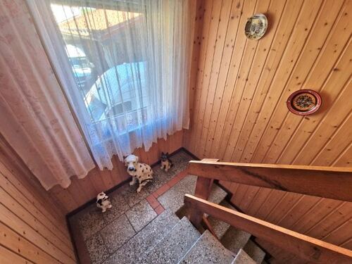 Treppenhaus - 