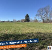 Baugrundstück mit 6.150 m², für 1-6 EFH, in sehr guter Wohnlage! - Hainichen