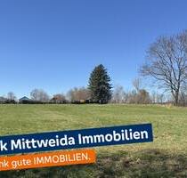 Baugrundstück mit 6.150 m², für 1-6 EFH, in sehr guter Wohnlage! - Hainichen