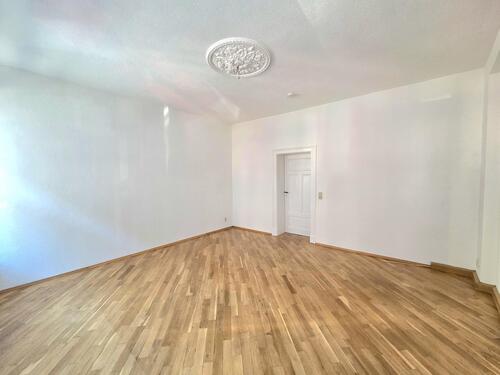 Wohn- und Schlafbereich - 1 Zimmer Erdgeschoßwohnung in Leipzig