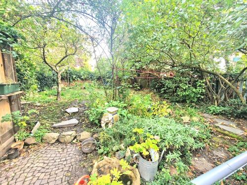 Gemeinschaftsgarten - 